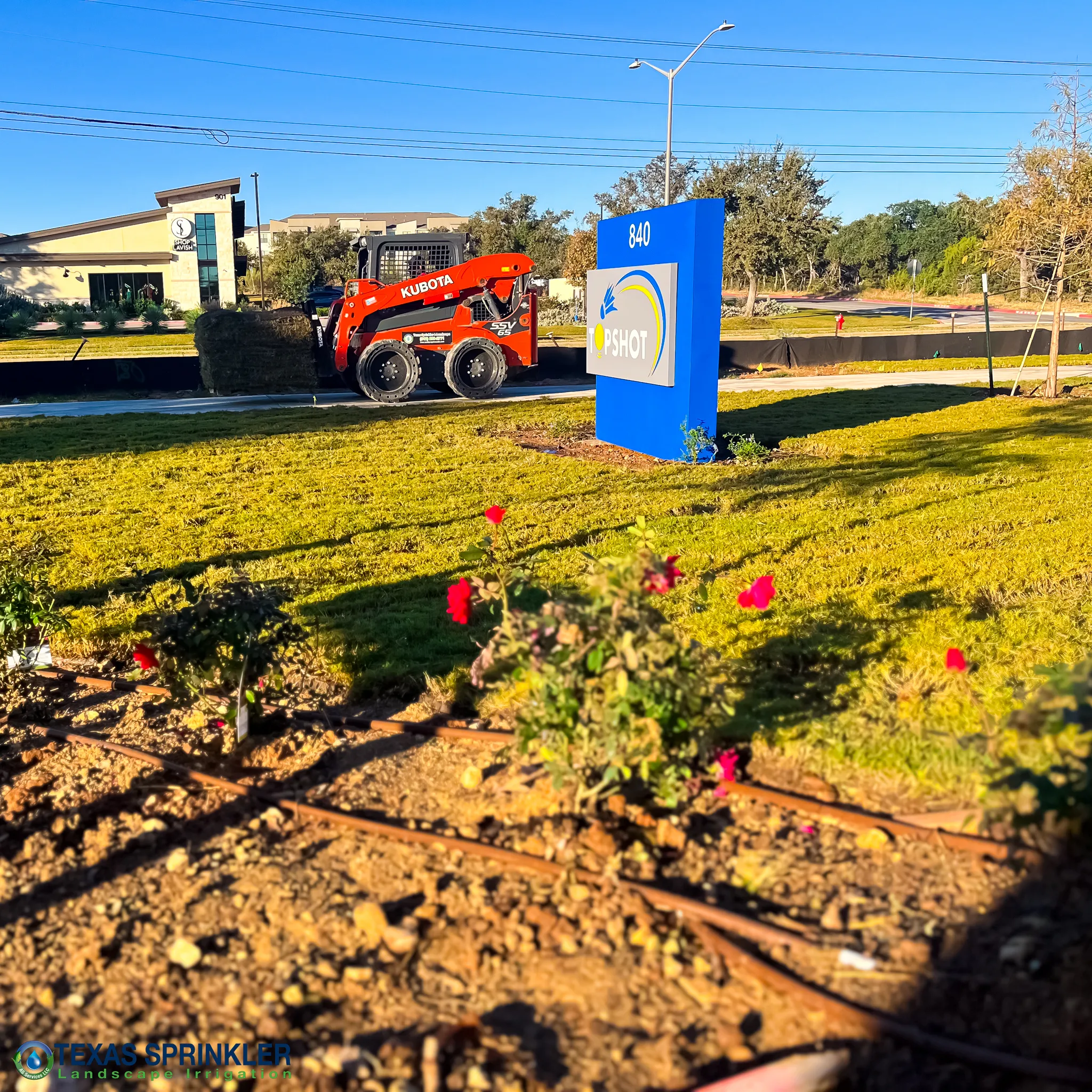 Professional landscaping with lush plants and irrigation system in Austin, Texas